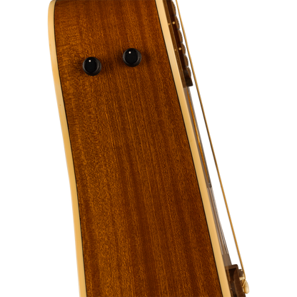 0970713521 GUITARRA FENDER REDONDO PLAYER NAT