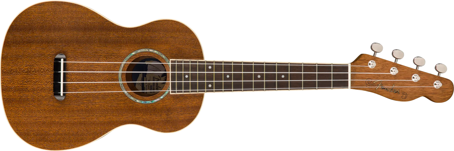 UKULELE CONCIERTO ZUMA DIAPASON WALNUT NATURAL